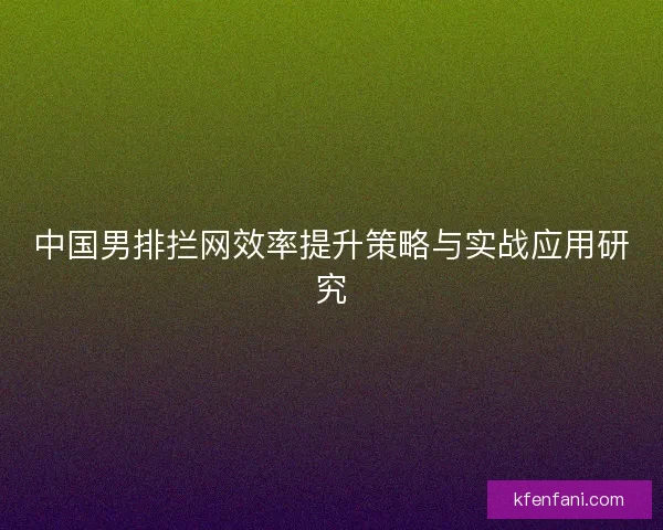 中国男排拦网效率提升策略与实战应用研究
