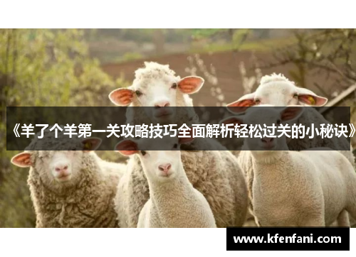 《羊了个羊第一关攻略技巧全面解析轻松过关的小秘诀》