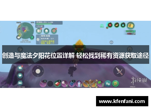 创造与魔法夕阳花位置详解 轻松找到稀有资源获取途径