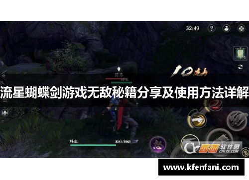 流星蝴蝶剑游戏无敌秘籍分享及使用方法详解